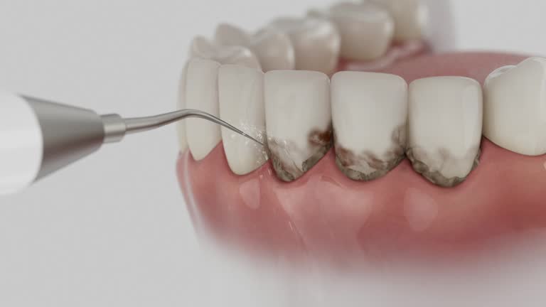 Reliable Dental contractor in La Cygne, KS by Dentist Open Now